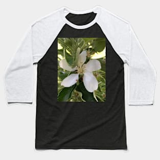 Apple Blossom (white) Baseball T-Shirt